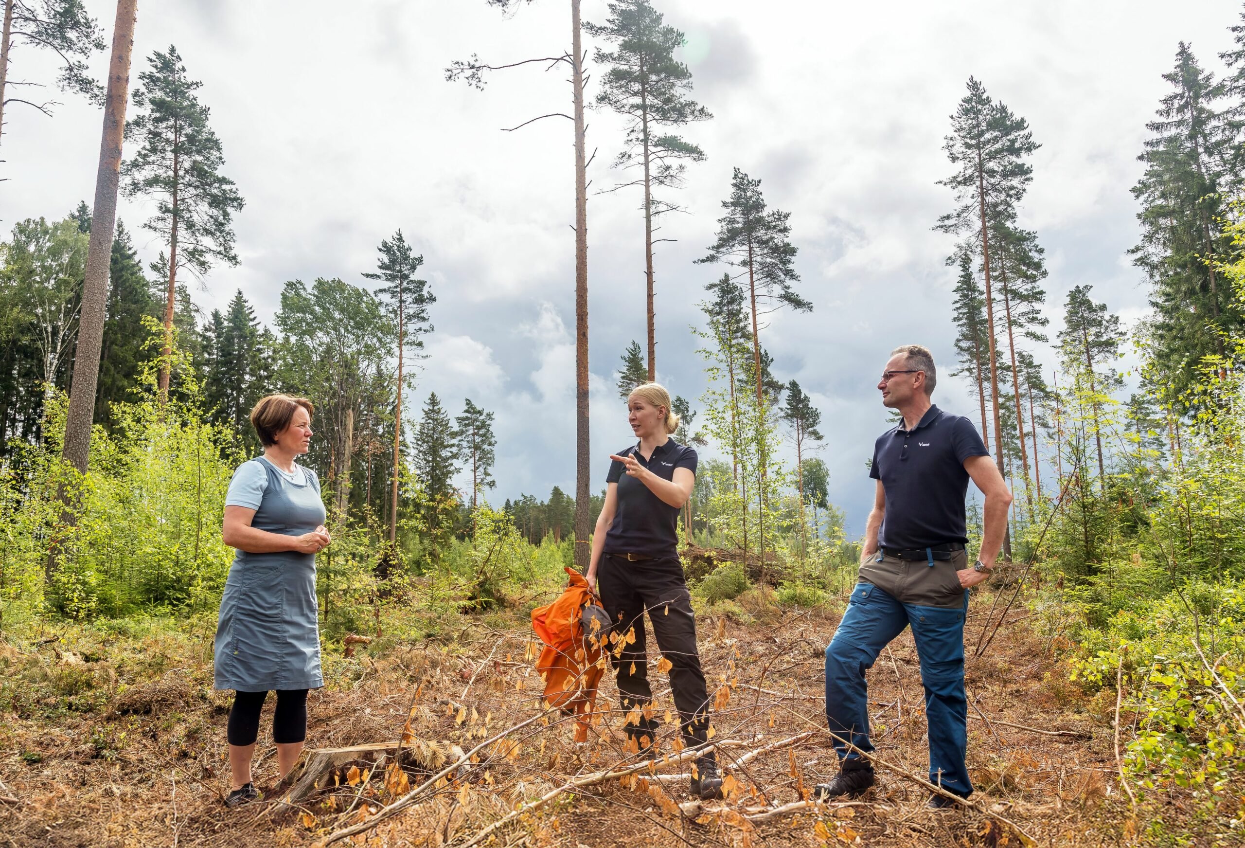 Kaisa Vasama-Kakko, Marie von Martens ja Jari Mäntylä uskovat metsänkäsittelytapojen monipuolistuvan lähitulevaisuudessa.