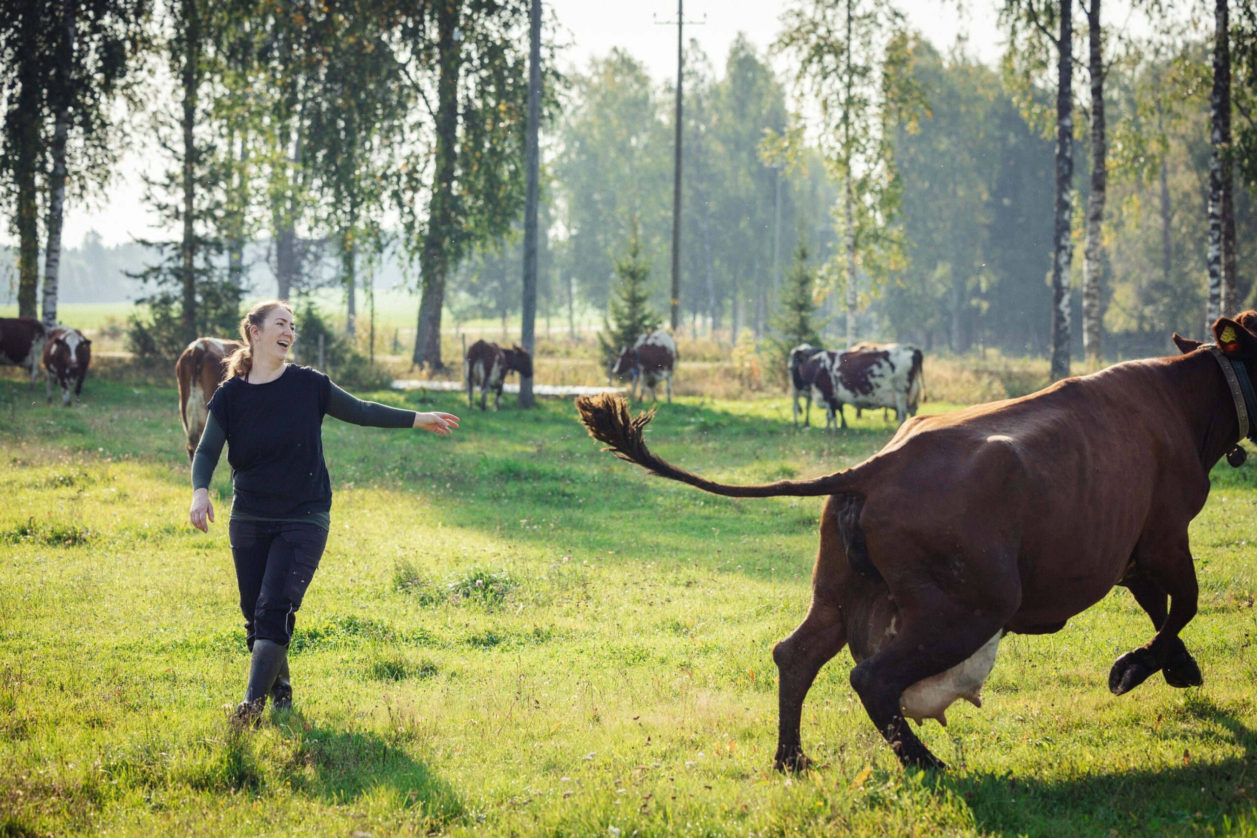 "Olemme iloisia onnistumisistamme jalostustyössä, oli se sitten satatonnari tai keinosiemennyssonni", yrittäjä Carin Grotenfelt sanoo.