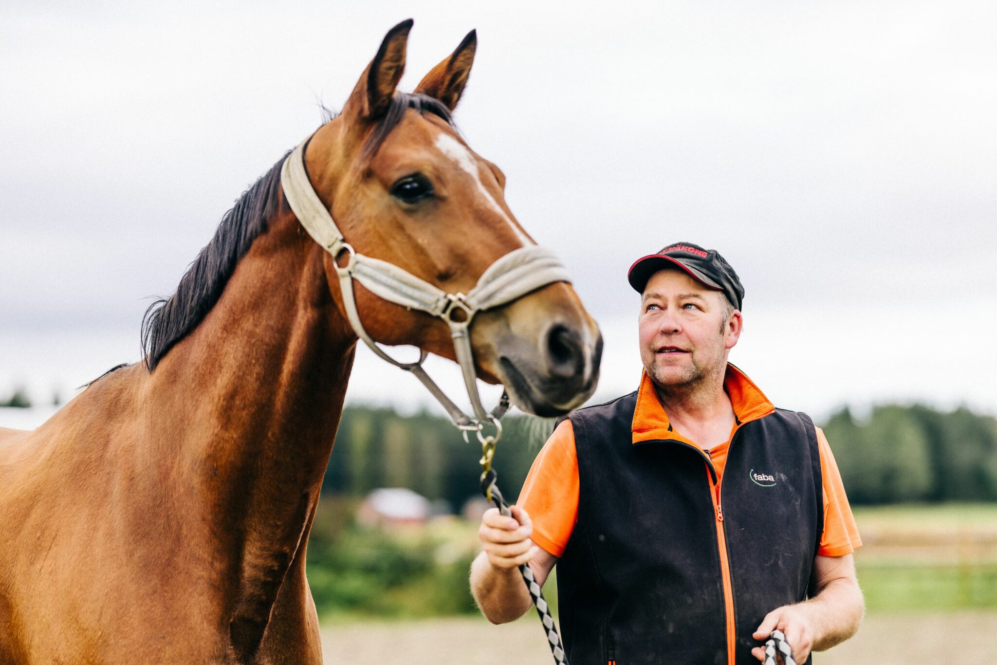 Yli-Savusen tilalla harrastetaan hevosia. Vasemmalla Markon kanssa Johannan trakehner-rotuinen Hernetas. Oikealla Enchilada Ås ja varsa Smokehill Bellagio nauttivat syyspäivistä Marko ja Sanna Savusen hyvässä hoidossa. Pariskunnan mielestä hevosharrastus on hyvää vastapainoa työlle.