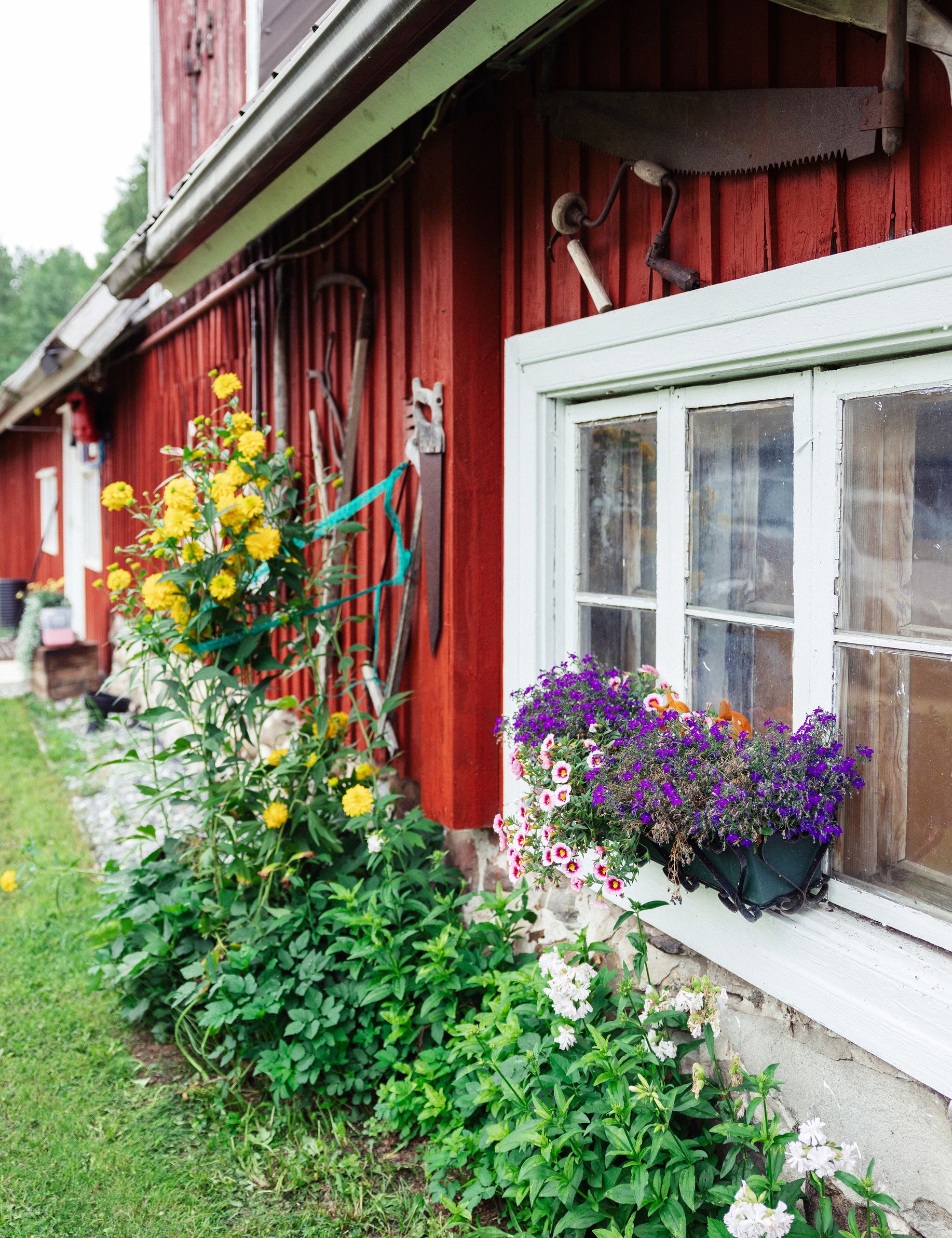 Farmila tarjoaa myös maatilamajoitusta ja tilavierailuja.