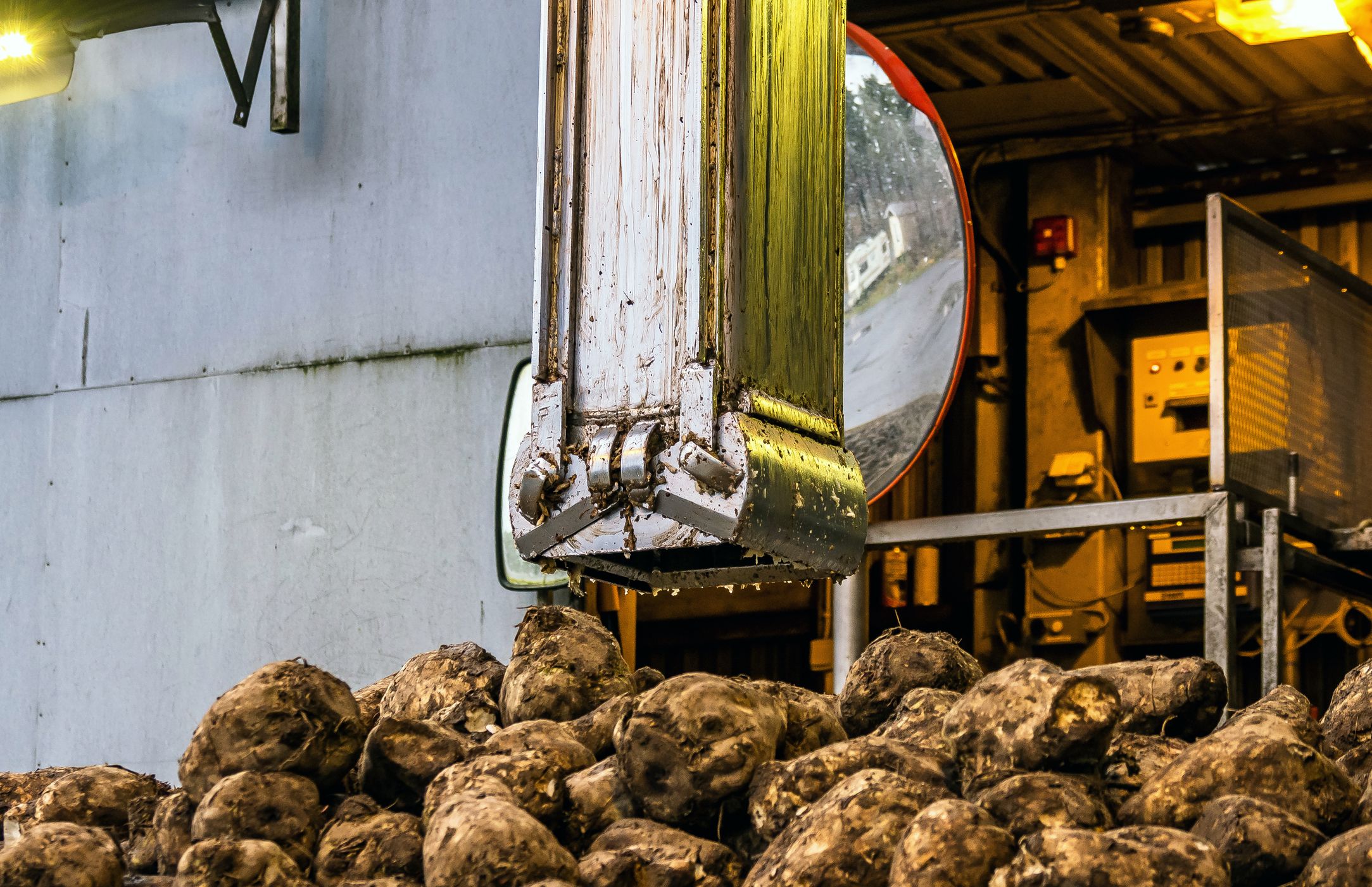 Portilla kuormat punnitaan ja otetaan näytteet sokeripitoisuuden ja puhtauden määrittämiseksi. Molemmat ovat laatuhinnoittelun kriteerejä.