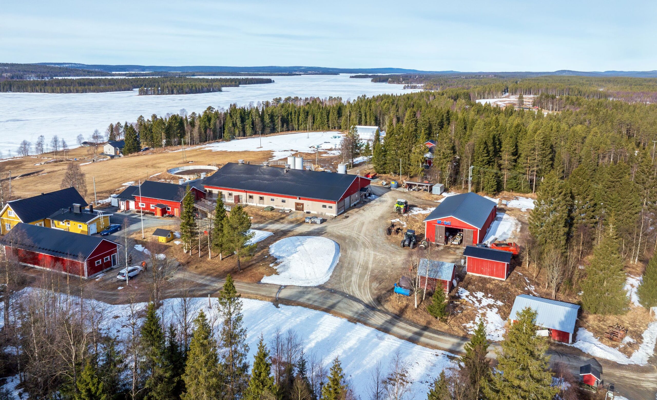 Pitkästen yrittäjäperheen jäsenten talot sijaitsevat lähellä toisiaan. Navettakokonaisuuden vanhin osa on vuodelta 1947 ja uusin vuodelta 2001. Remontteja on tehty myös sen jälkeen.