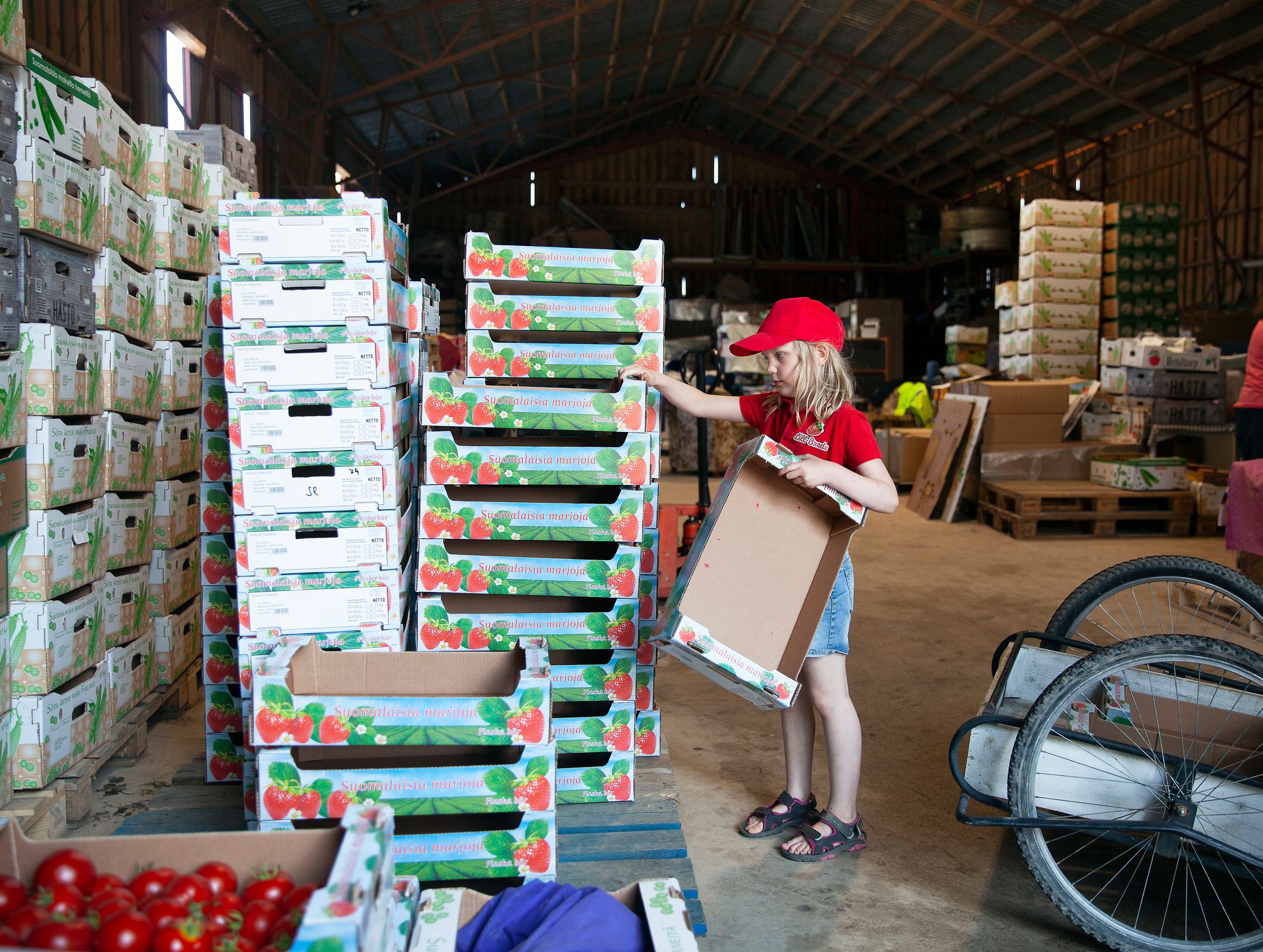 Astrid Hildén auttaa pakkaamossa. Vanhemmille on tärkeää, että lapset saavat olla mukana ja osallistua tilan töihin taitojensa mukaan.