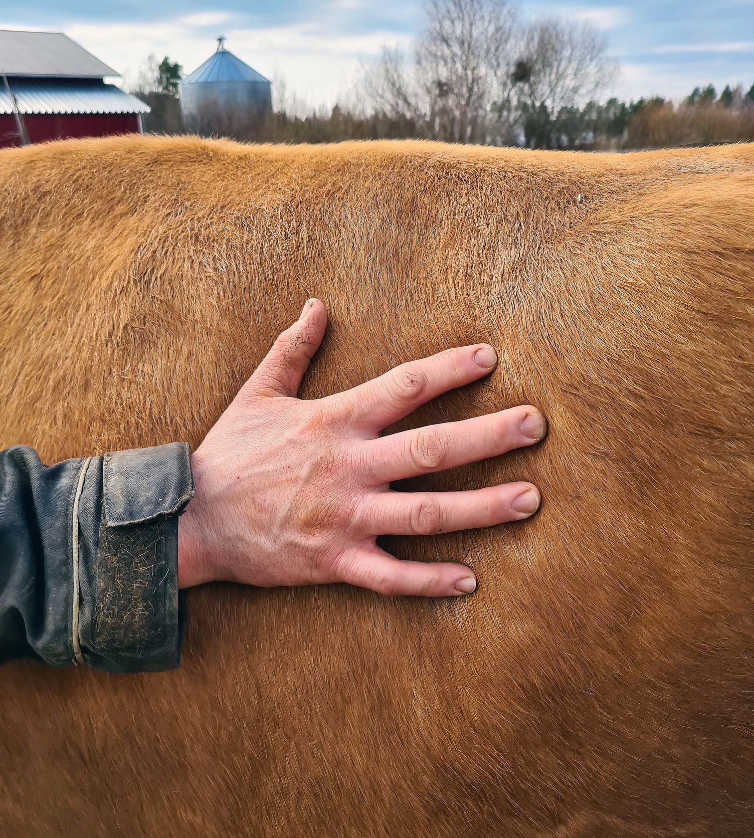 Tunnustele vasen nälkäkuoppa: pötsin sisältöä ja liikkeitä voi tuntea vasemman nälkäkuopan kohdalta.