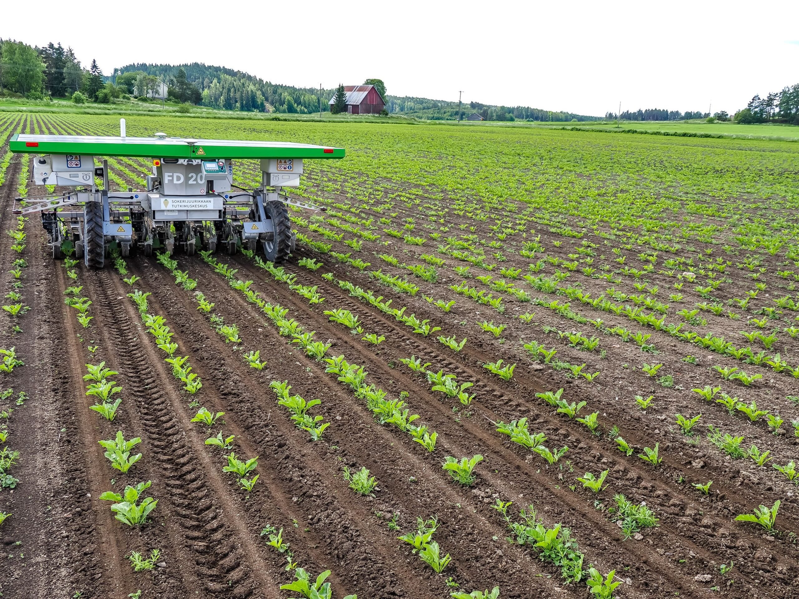 Sokerijuurikkaan tutkimuskeskuksen peltorobotti on varusteltu kasvinsuojeluyksiköllä, mikä mahdollistaa rikkojen täsmäruiskutuksen taimien juuresta harauksen yhteydessä.