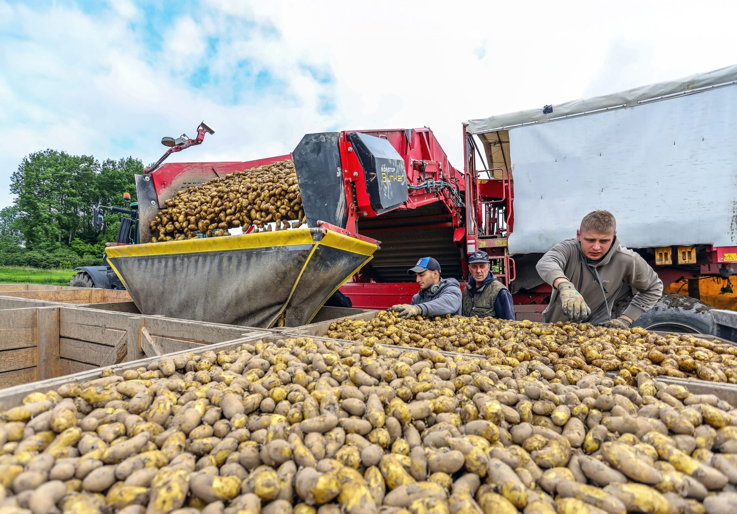 Simuloiden osaavat työntekijät mahdollistavat, että hommat saadaan hoidettua oikea-aikaisesti. Ympärivuotisia työntekijöitä on 17, kesäisin määrä tuplaantuu.