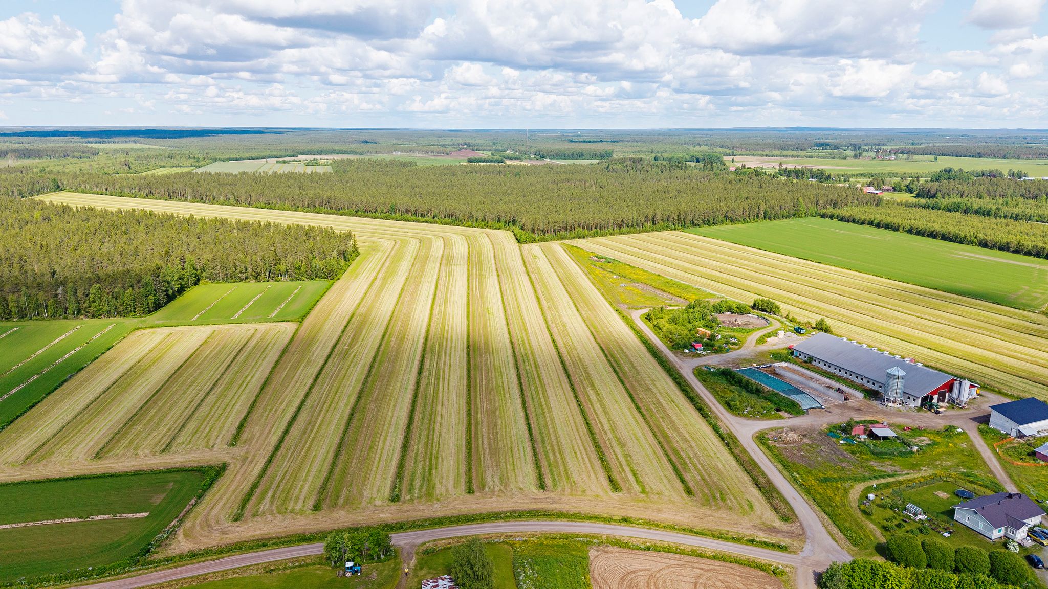 Hovin tilalla nurmilohkot sijaitsevat aivan talouskeskuksen vieressä. Urakoitsijaporukka korjaa rehut nopeasti, tehokkaasti ja ammatti­taidolla.