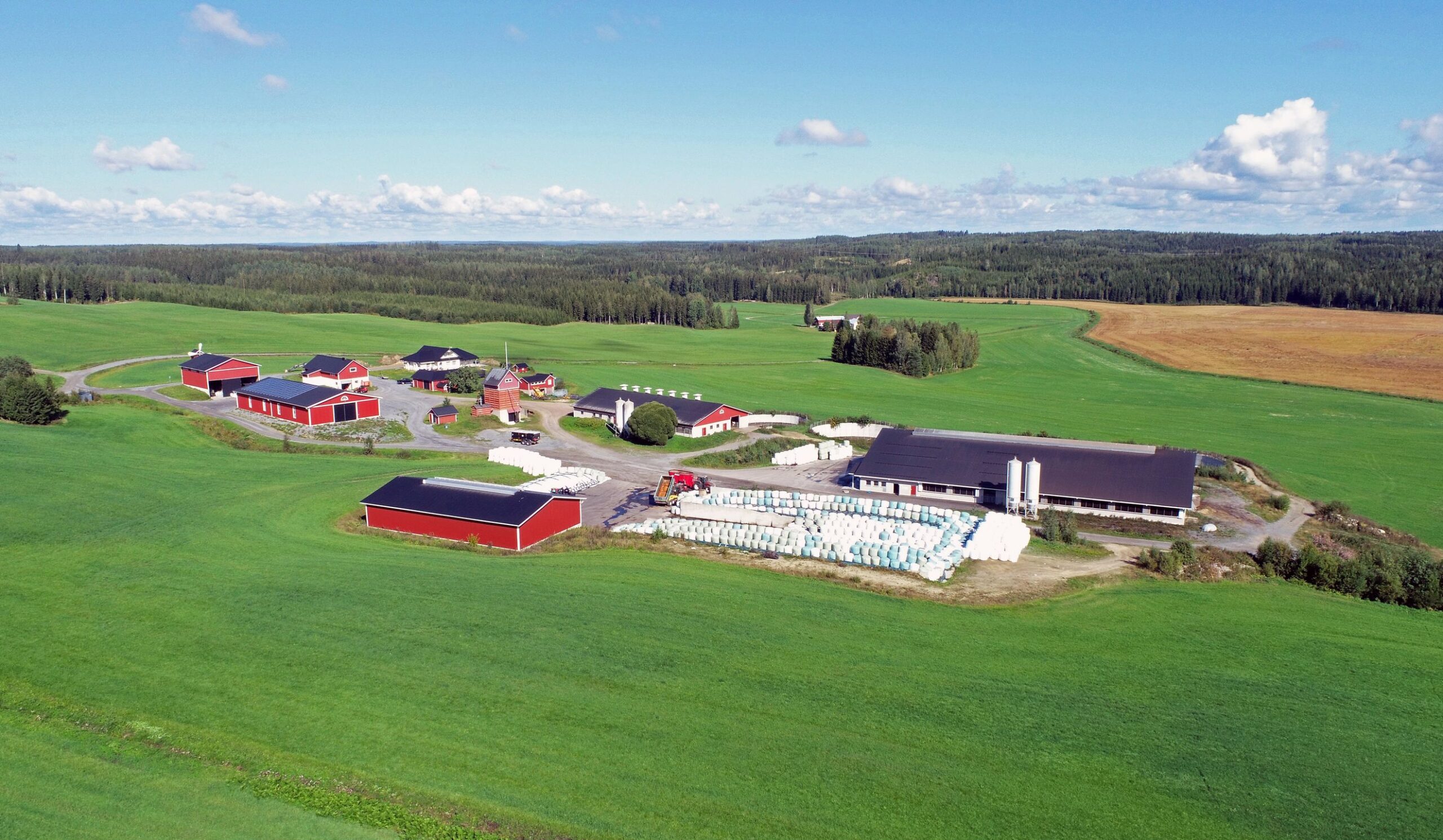 Vihreä laakso. Peltojen muotoilulla ja yhdistämisillä on saatu aikaan tehokas lohkorakenne navetoiden ympärille.