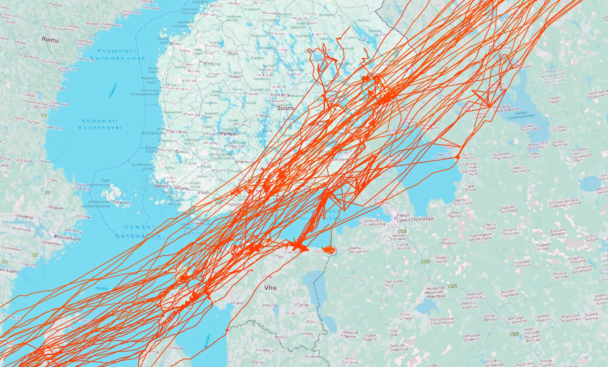 Hanhien muuttoreitit vuosina 2024–25, satelliittidata, Pohjois-Karjalan ely-keskus. Edelleen iso osa hanhista muuttaa Suomen itäpuolta, mutta painotus vaikuttaa siirtyneen enemmän Suomen ylle. Keväällä 2025 osa valkoposkihanhista on ollut ruokailemassa Pohjois-Savon alueella.