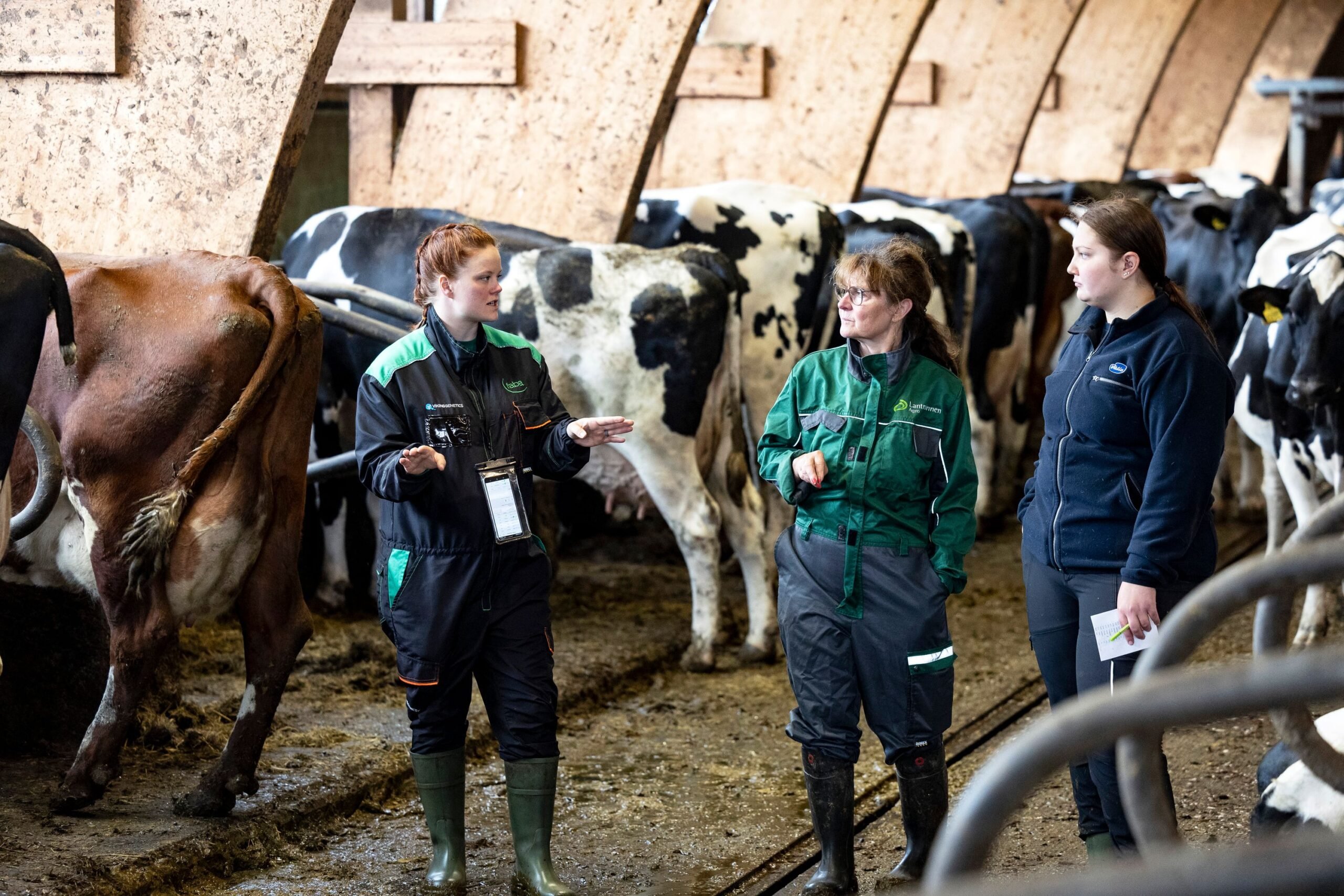 Mty Etelärinteen karjassa jalostuspäätöksiä tekevät yrittäjä Soile Palonen (kesk.) ja karjanhoitaja Milla Helin (oik.).