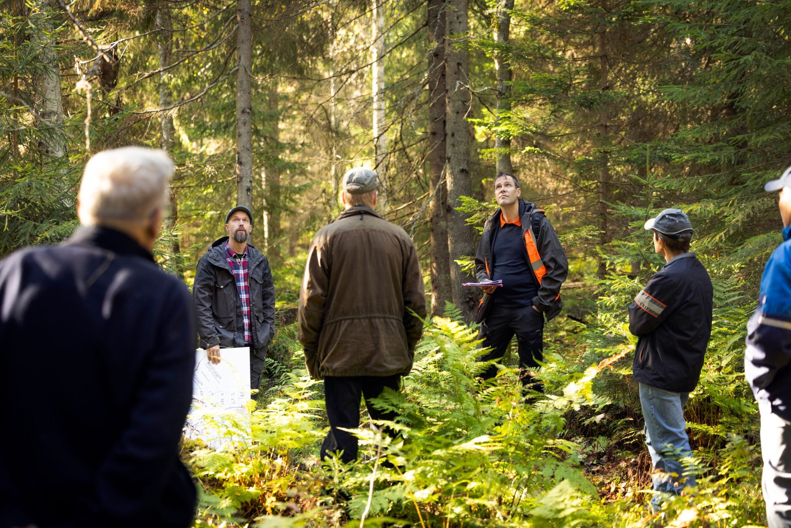 Metsänomistajille esiteltiin jatkuvapeitteisinä kasvatettavia suometsiä Lopella syyskuussa.