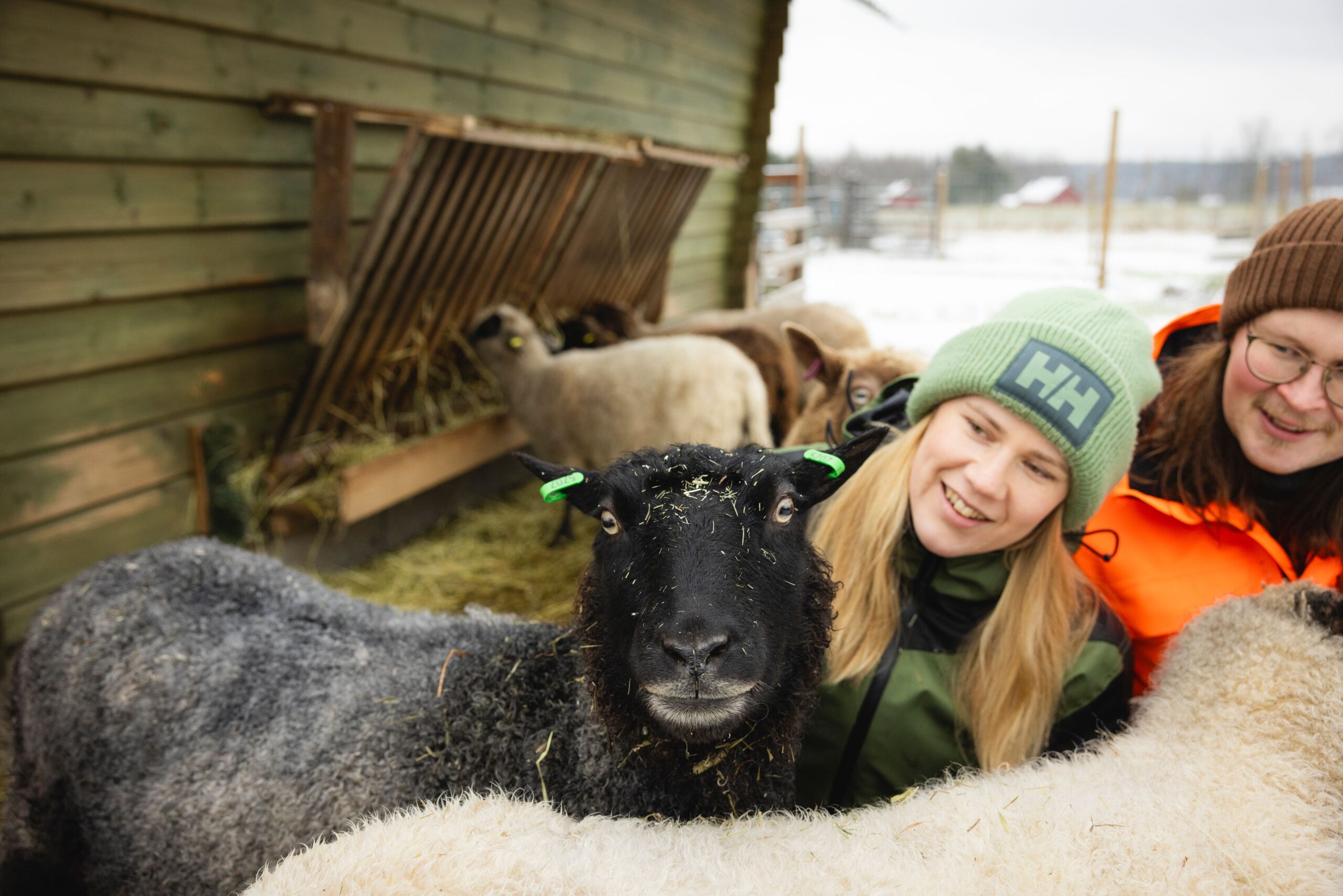 Eläinpihan asukkaita ei vain katsella, vaan niiden kanssa opetellaan olemaan.