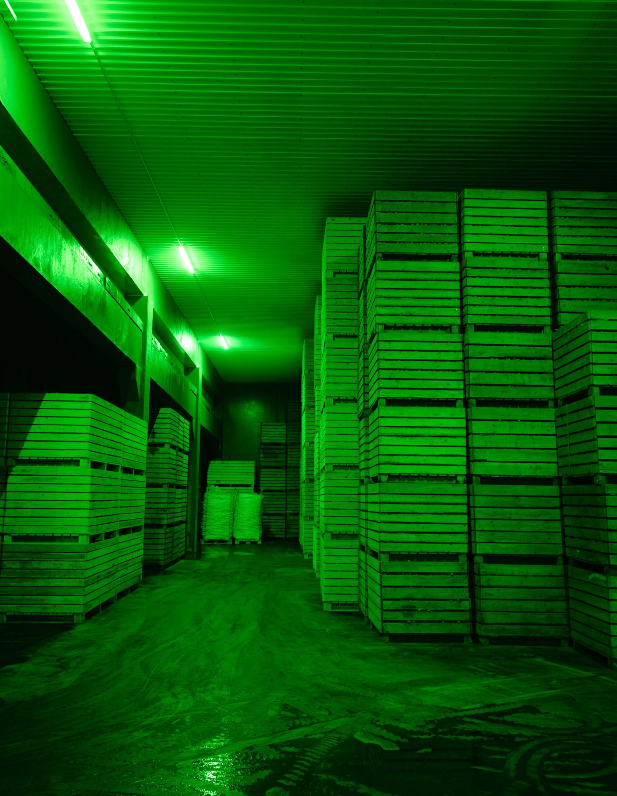 Varastotilaa tarvitaan, sillä Aromäen tilalta lähtee vuosittain yli neljä miljoonaa kiloa perunaa vähittäiskauppoihin.