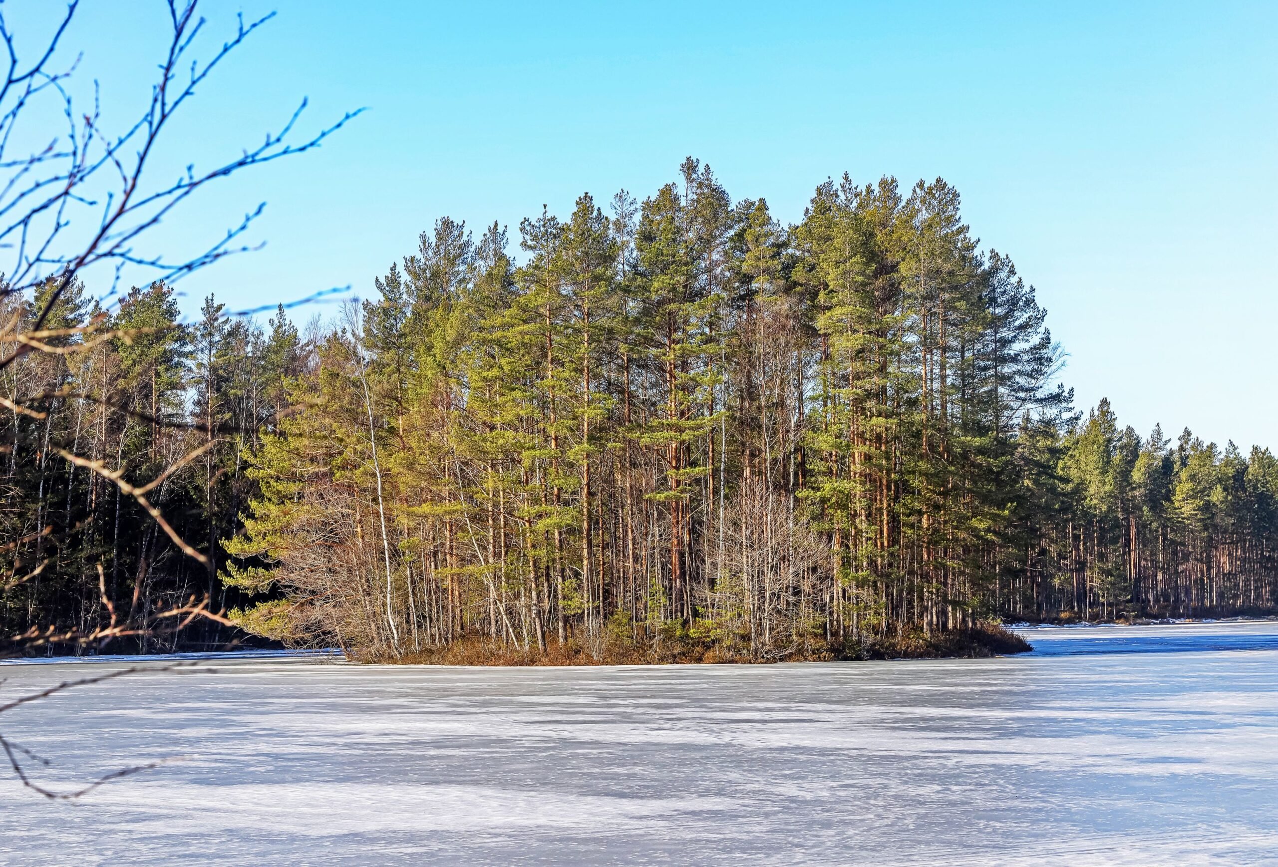 Rottajärven keskellä oleva saari saa sekin olla luonnon­tilaisena.