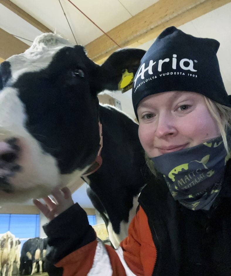 Reetta Keisalmi tekee parhaillaan vertailua ayrshiren ja holsteinin kannattavuuseroista ruotsalaisissa karjoissa. Kuva: Reetta Keisalmi