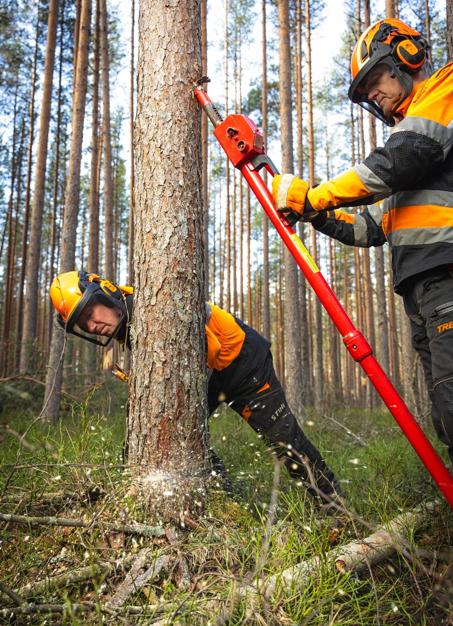 Jukka Hapulahti ja Tuomo Piesanen tekivät maa- ja pystylahopuita Härkävehmaansuon ennallistamiskohteella.