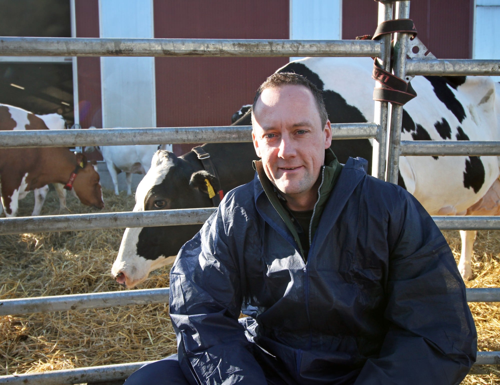 Rene Cornelissen on valittu Danish Holsteinin hallitukseen ja Tanskan edustajaksi European Dairy Farmers (EDF) valtuustoon.